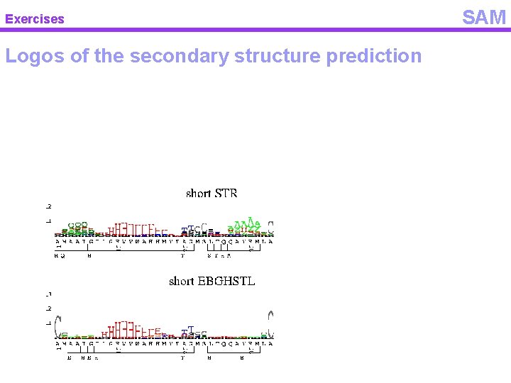 Exercises Logos of the secondary structure prediction SAM 