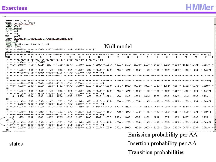 HMMer Exercises Null model states Emission probability per AA Insertion probability per AA Transition