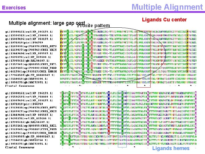 Exercises Multiple alignment: large gap cost Prosite pattern Multiple Alignment Ligands Cu center Ligands