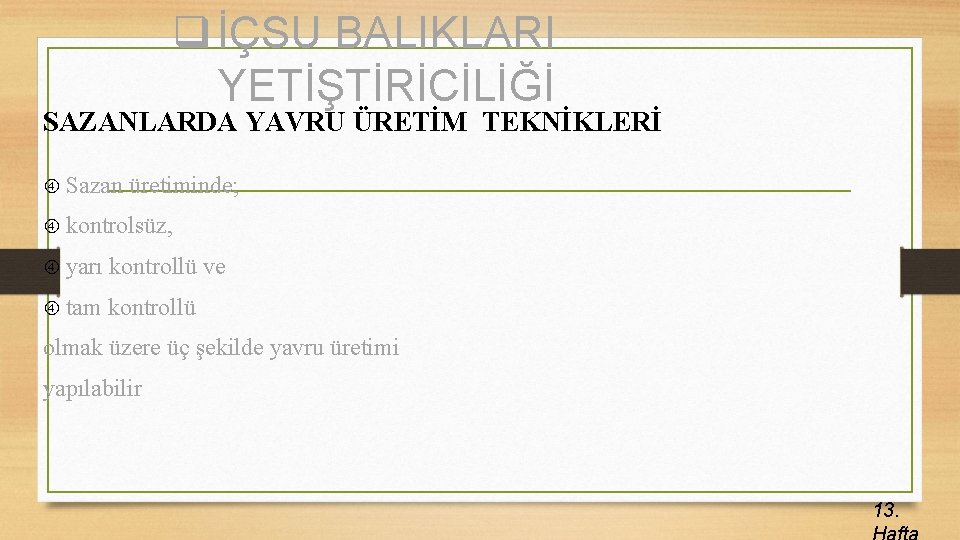 q İÇSU BALIKLARI YETİŞTİRİCİLİĞİ SAZANLARDA YAVRU ÜRETİM TEKNİKLERİ Sazan üretiminde; kontrolsüz, yarı kontrollü ve