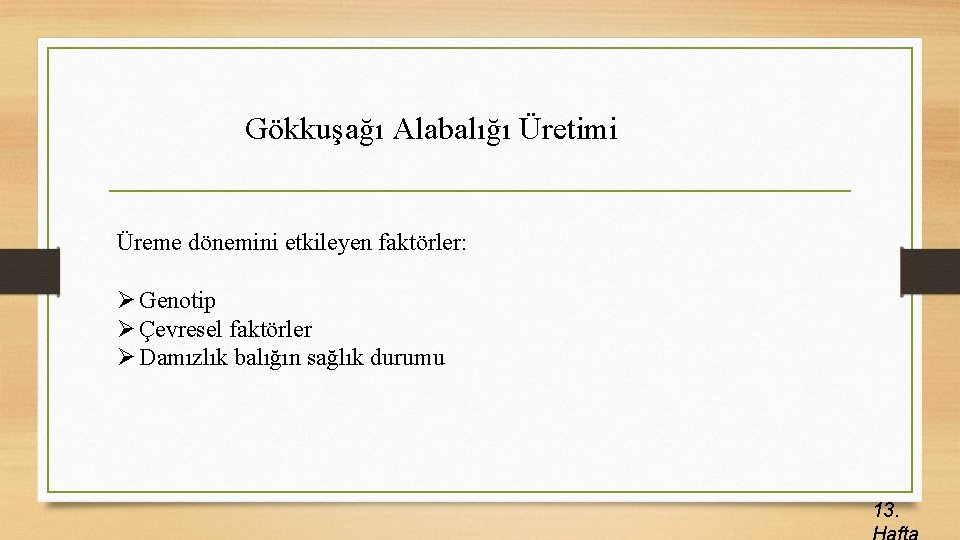 Gökkuşağı Alabalığı Üretimi Üreme dönemini etkileyen faktörler: Ø Genotip Ø Çevresel faktörler Ø Damızlık