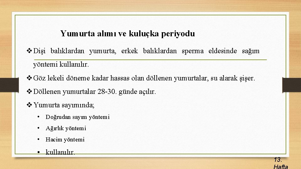 Yumurta alımı ve kuluçka periyodu v. Dişi balıklardan yumurta, erkek balıklardan sperma eldesinde sağım