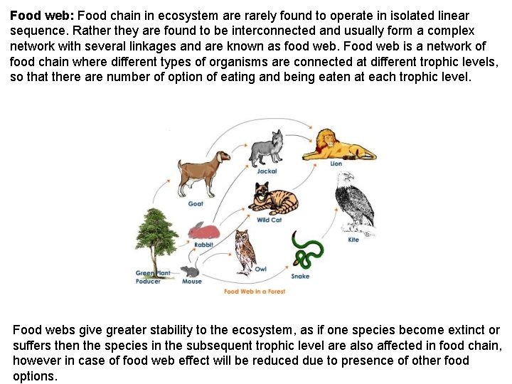 Food web: Food chain in ecosystem are rarely found to operate in isolated linear