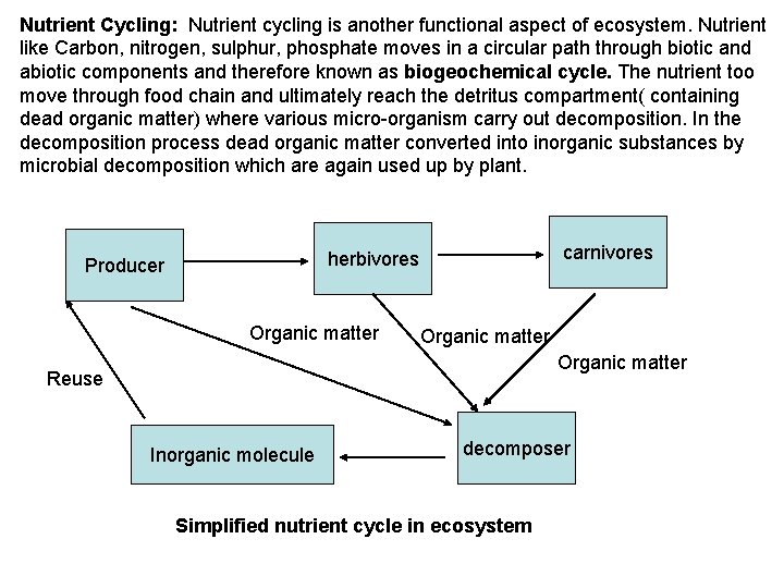 Nutrient Cycling: Nutrient cycling is another functional aspect of ecosystem. Nutrient like Carbon, nitrogen,