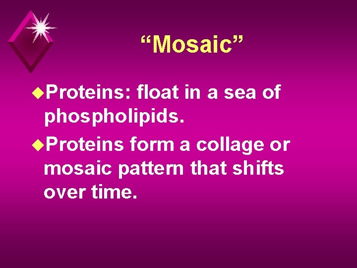 “Mosaic” u. Proteins: float in a sea of phospholipids. u. Proteins form a collage