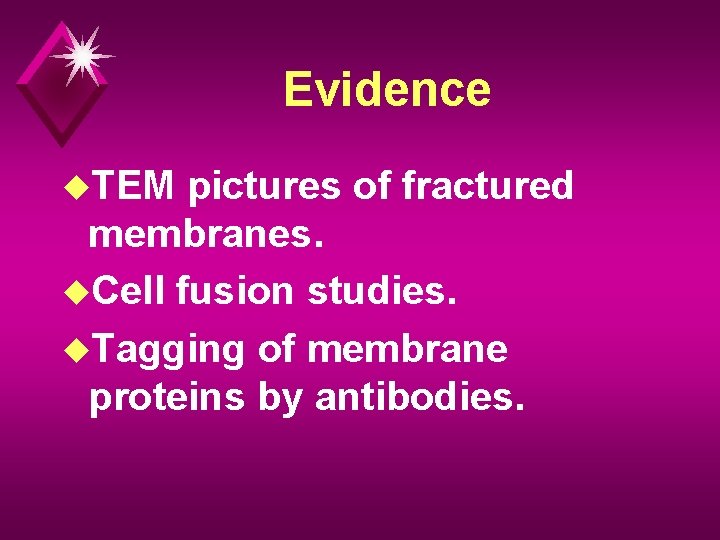 Evidence u. TEM pictures of fractured membranes. u. Cell fusion studies. u. Tagging of