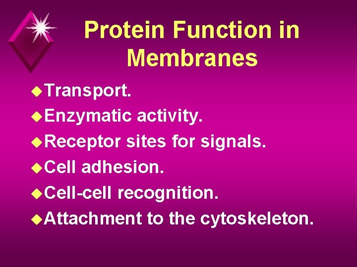 Protein Function in Membranes u. Transport. u. Enzymatic activity. u. Receptor sites for signals.