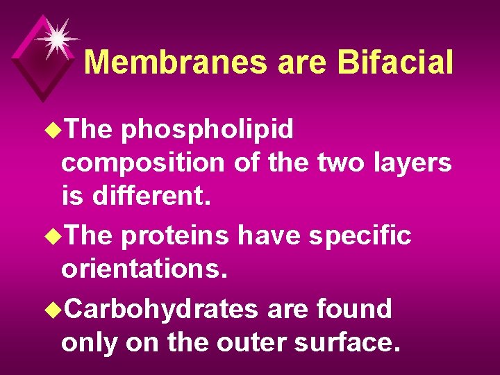 Membranes are Bifacial u. The phospholipid composition of the two layers is different. u.