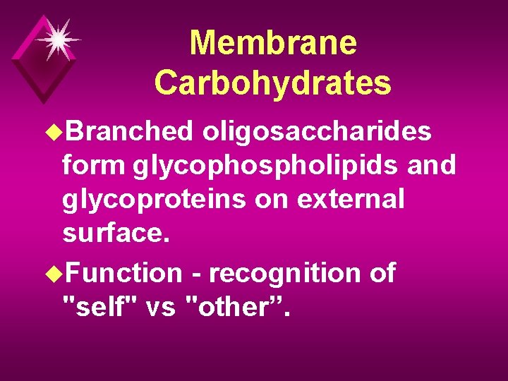 Membrane Carbohydrates u. Branched oligosaccharides form glycophospholipids and glycoproteins on external surface. u. Function