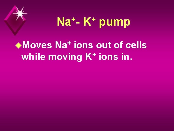 + Na u. Moves + K pump Na+ ions out of cells while moving