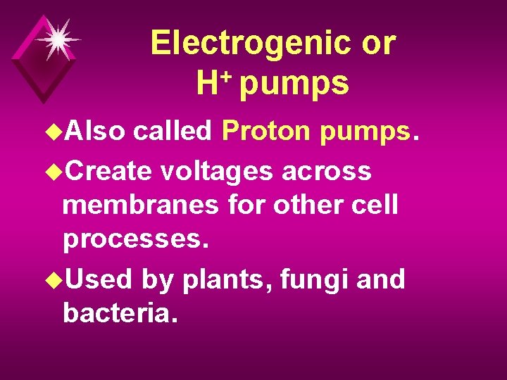 Electrogenic or H+ pumps u. Also called Proton pumps. u. Create voltages across membranes