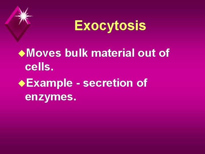 Exocytosis u. Moves bulk material out of cells. u. Example - secretion of enzymes.