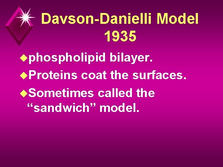 Davson-Danielli Model 1935 uphospholipid bilayer. u. Proteins coat the surfaces. u. Sometimes called the