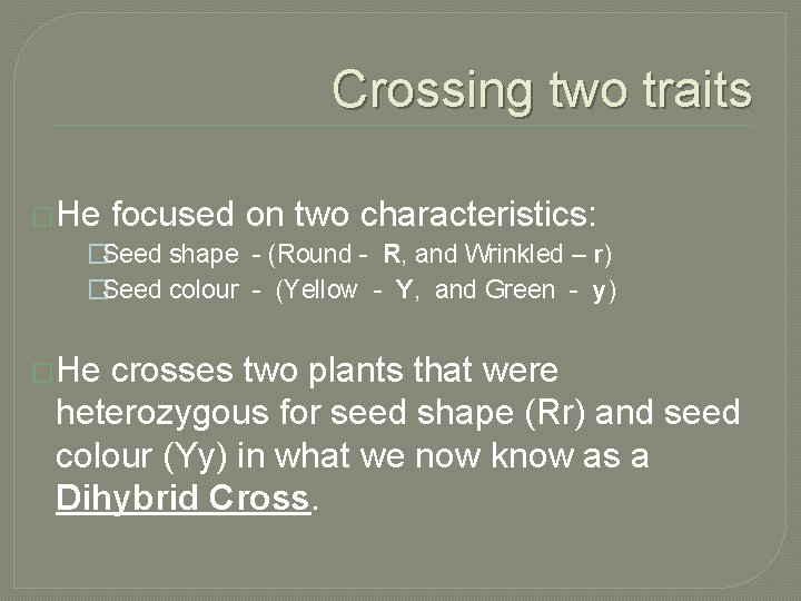 Crossing two traits �He focused on two characteristics: �Seed shape - (Round - R,