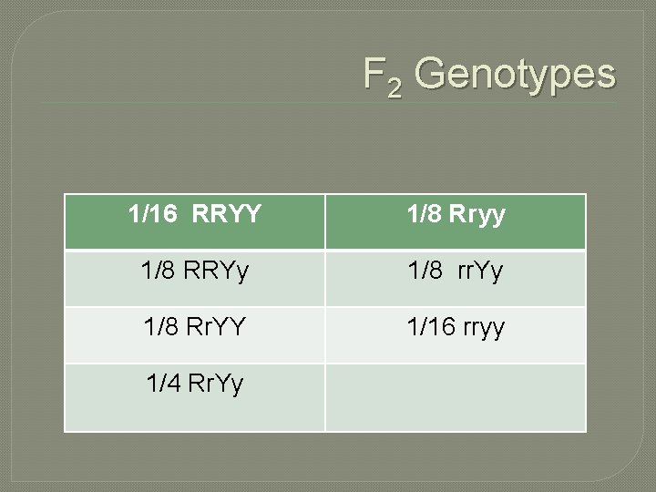 F 2 Genotypes 1/16 RRYY 1/8 Rryy 1/8 RRYy 1/8 rr. Yy 1/8 Rr.