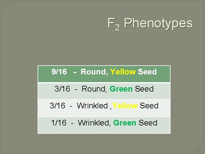 F 2 Phenotypes 9/16 - Round, Yellow Seed 3/16 - Round, Green Seed 3/16