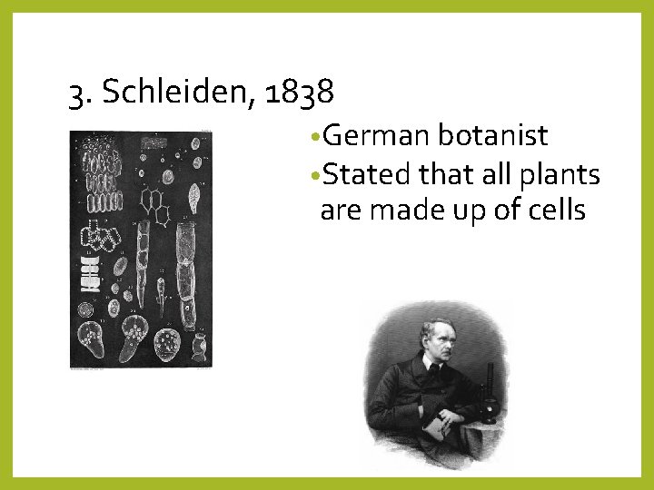 3. Schleiden, 1838 • German botanist • Stated that all plants are made up