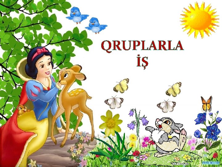 QRUPLARLA İŞ 