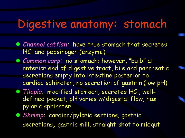 Digestive anatomy: stomach l Channel catfish: have true stomach that secretes HCl and pepsinogen