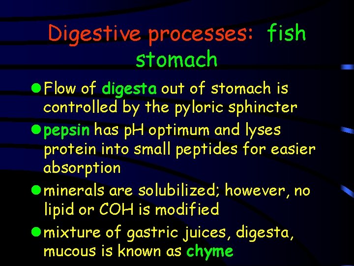 Digestive processes: fish stomach l Flow of digesta out of stomach is controlled by