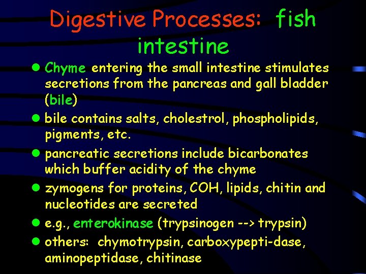 Digestive Processes: fish intestine l Chyme entering the small intestine stimulates secretions from the