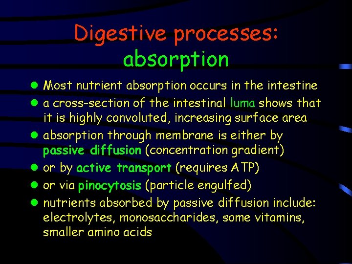 Digestive processes: absorption l Most nutrient absorption occurs in the intestine l a cross-section