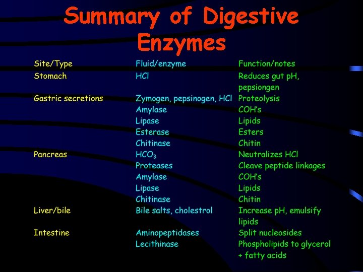 Summary of Digestive Enzymes 