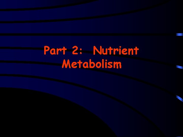 Part 2: Nutrient Metabolism 