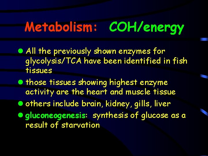 Metabolism: COH/energy l All the previously shown enzymes for glycolysis/TCA have been identified in