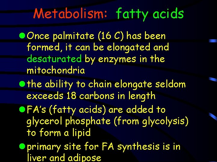 Metabolism: fatty acids l Once palmitate (16 C) has been formed, it can be