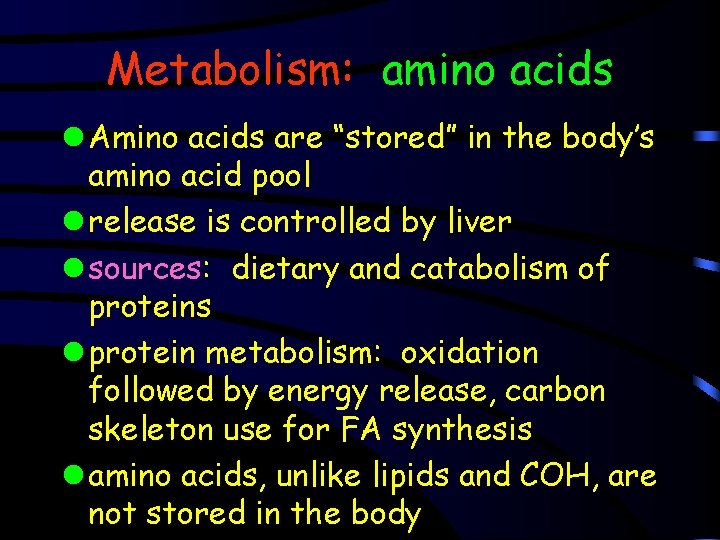 Metabolism: amino acids l Amino acids are “stored” in the body’s amino acid pool