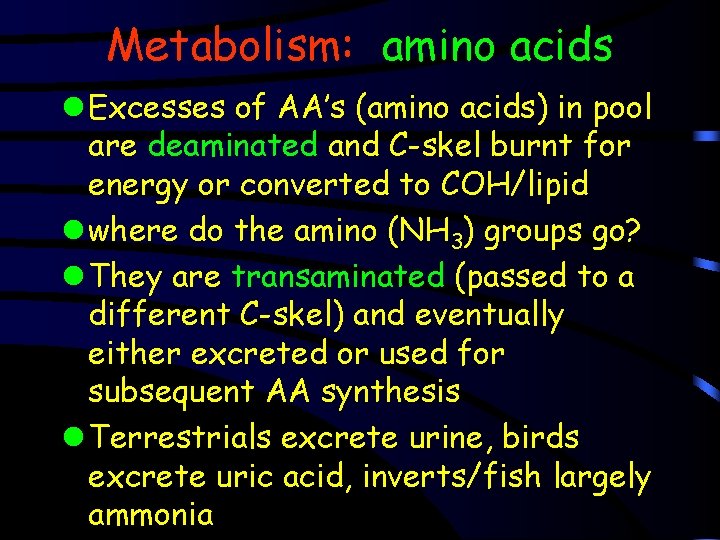 Metabolism: amino acids l Excesses of AA’s (amino acids) in pool are deaminated and