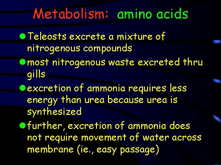 Metabolism: amino acids l Teleosts excrete a mixture of nitrogenous compounds l most nitrogenous