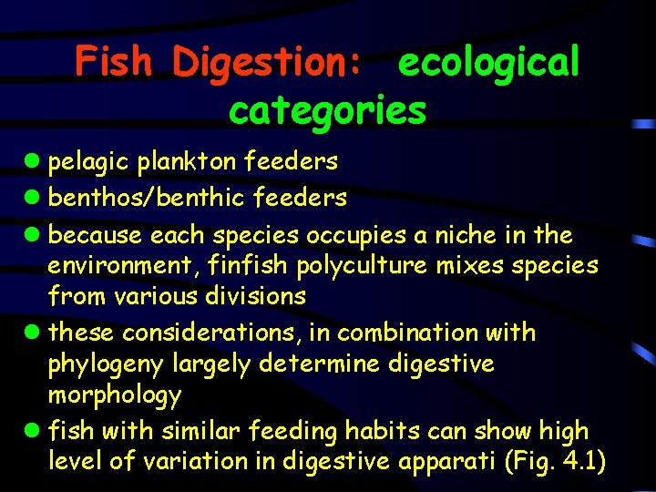 Fish Digestion: ecological categories l pelagic plankton feeders l benthos/benthic feeders l because each