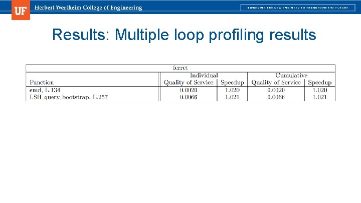 Results: Multiple loop profiling results 