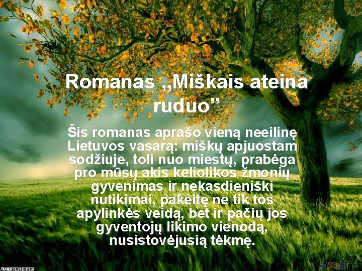 Romanas , , Miškais ateina ruduo” Šis romanas aprašo vieną neeilinę Lietuvos vasarą: miškų