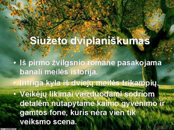 Siužeto dviplaniškumas • Iš pirmo žvilgsnio romane pasakojama banali meilės istorija. • Intriga kyla
