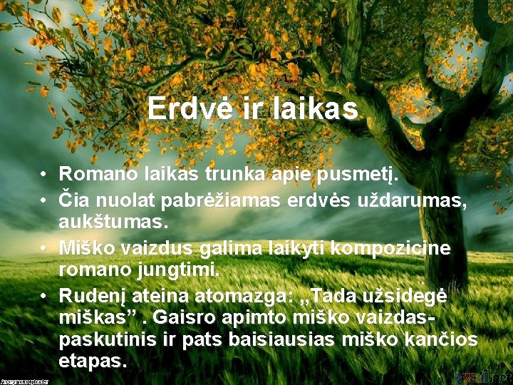 Erdvė ir laikas • Romano laikas trunka apie pusmetį. • Čia nuolat pabrėžiamas erdvės