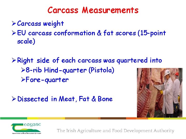 Carcass Measurements Ø Carcass weight Ø EU carcass conformation & fat scores (15 -point