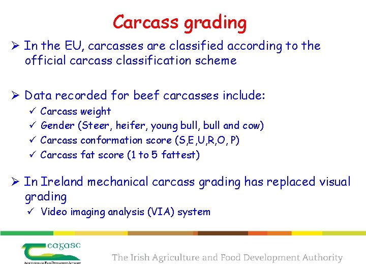 Carcass grading Ø In the EU, carcasses are classified according to the official carcass