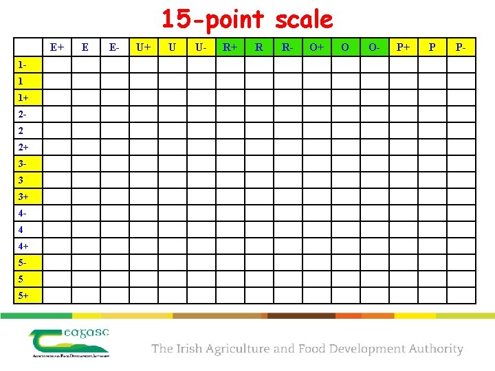 15 -point scale E+ 11 1+ 22 2+ 33 3+ 44 4+ 55 5+