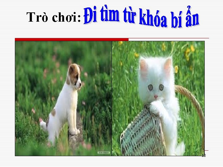 Trò chơi: 10 