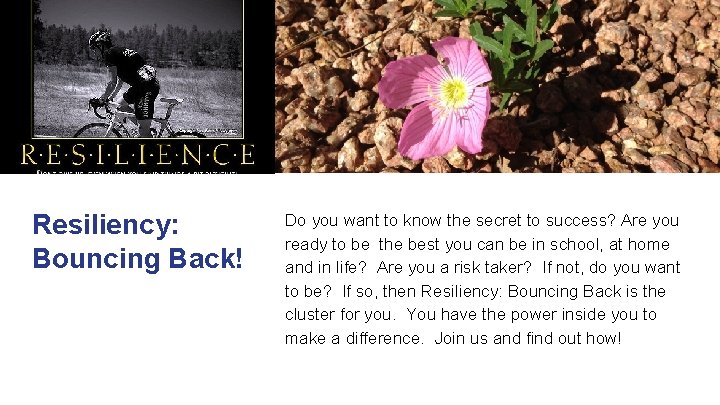 Resiliency: Bouncing Back! Do you want to know the secret to success? Are you