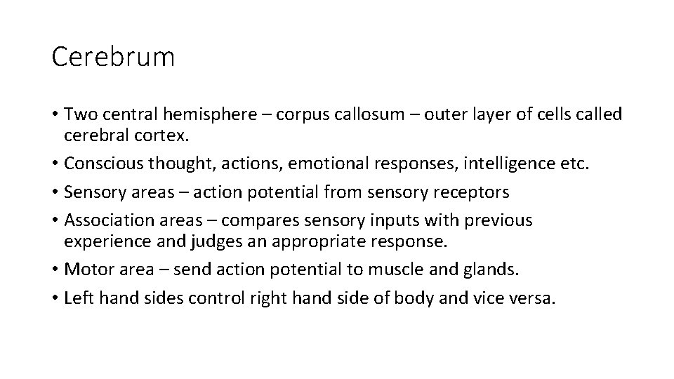 Cerebrum • Two central hemisphere – corpus callosum – outer layer of cells called
