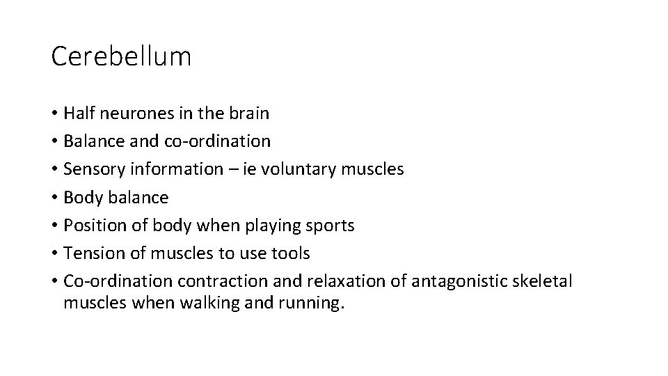 Cerebellum • Half neurones in the brain • Balance and co-ordination • Sensory information