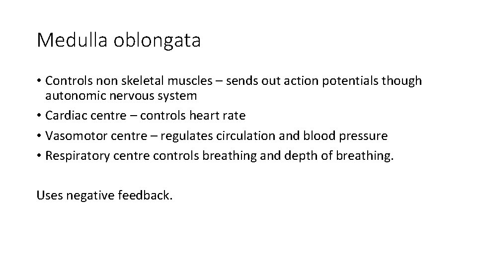 Medulla oblongata • Controls non skeletal muscles – sends out action potentials though autonomic