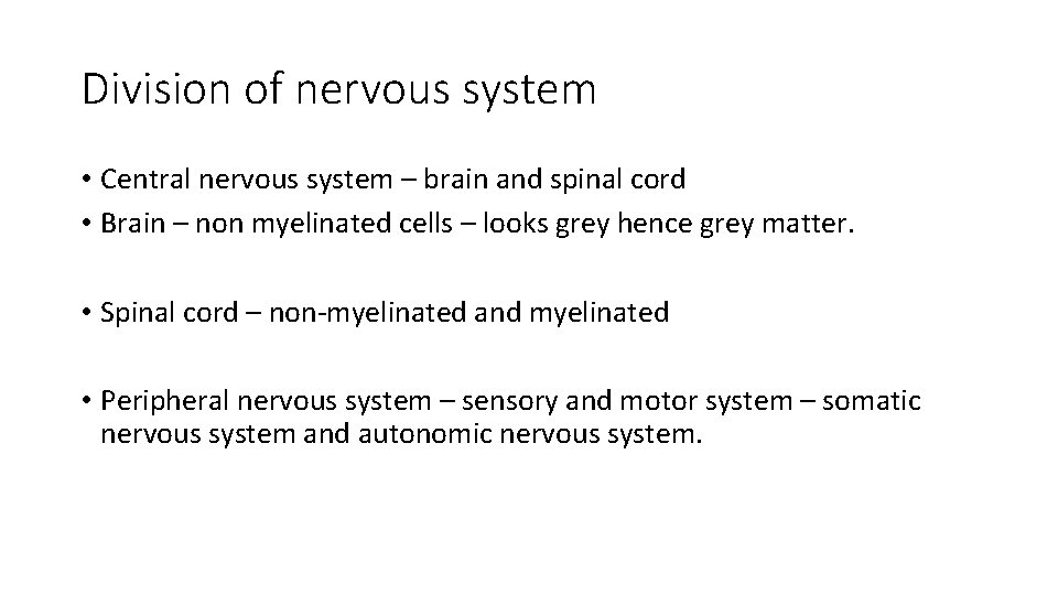 Division of nervous system • Central nervous system – brain and spinal cord •