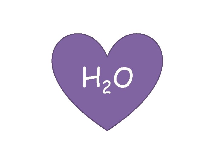 H 2 O 