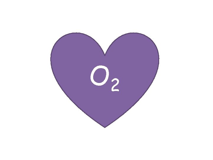 O 2 