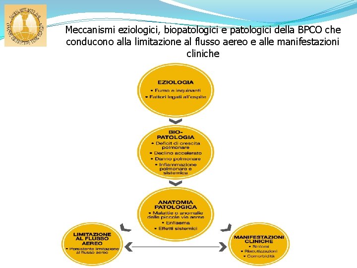 Meccanismi eziologici, biopatologici e patologici della BPCO che conducono alla limitazione al flusso aereo